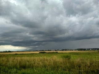 green field and blue sky
