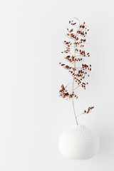Minimal style photography. Dry branch ,vase natural creative composition top view background with copy space for your text. Flat lay.