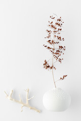 Obraz na płótnie Canvas Minimal style photography. Dry branch ,vase natural creative composition top view background with copy space for your text. Flat lay.