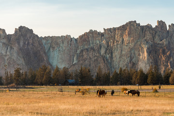 Sunset view of horses on a meadow with the rock walls of Smith Rock State Park in the background