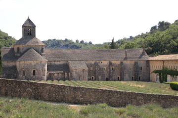 Lavender field at Senanque Abbey Gordes France