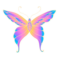 Fototapeta premium Butterfly with patterned wings, bright gradient orange purple blue color, isolated white background