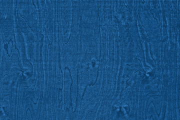 Blue background. The texture of natural birch veneer in classic blue. Color of the 2020 year.