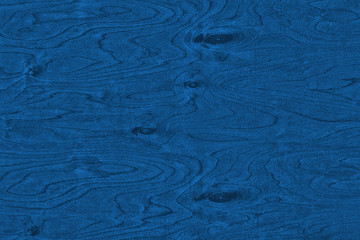 Blue background. The texture of natural birch veneer with knots in classic blue. Color of the 2020 year.