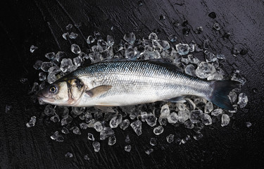 One seabass fish on ice on black stone background, top view