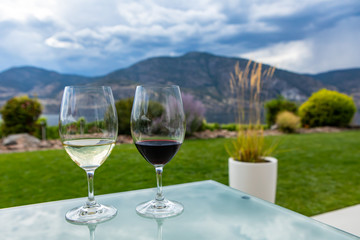 pair of wine glasses filled with red and white wines, selective focus and close up view against a beautiful landscape of grass and plants background
