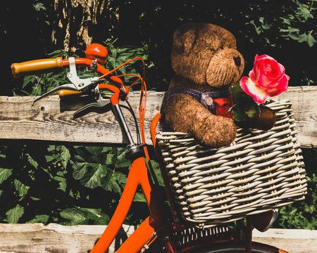 Cute teddy bear with a rose in a basket an orange bike. Conceptual image of congratulations. Love and romance. Retro vintage style.