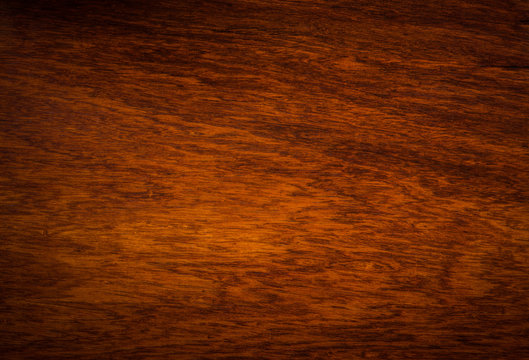 background and texture of Macro Ormosia wood