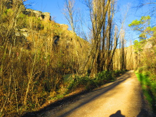 CAMINO OTO&Ntilde;AL