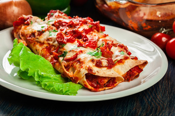 Traditional mexican enchiladas with chicken meat, spicy tomato sauce and cheese on a plate