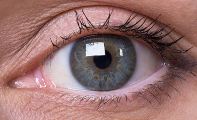 girl's blue eye close up