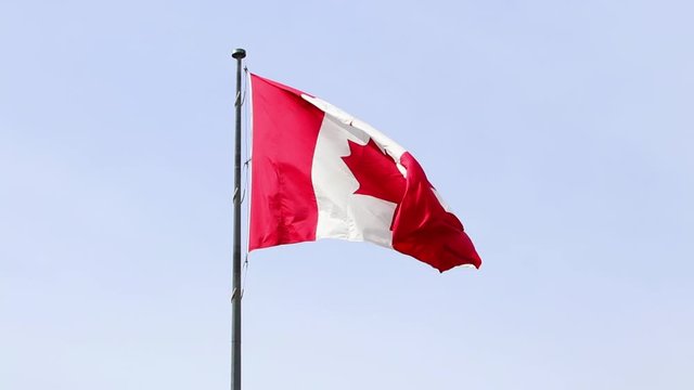Slow motion footage of a fluttering Canadian flag in the wind with blue background. Maple leaf is the biggest symbol of Canada