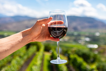 Man hand holding a glass of red wine selective focus close up, against vineyards fields blurred background, Okanagan Valley, British Columbia, Canada