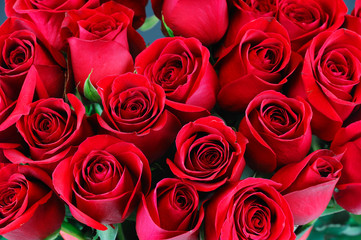 frische rote Rosen in einem Blumenstrauß als Hintergrund