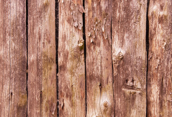Old wood plank texture for background.
