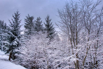 Winter in Beskydy Mountains. Fresh snow makes great atmosphere.