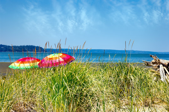Umbrellas on the Jetty Island Beach During Summer