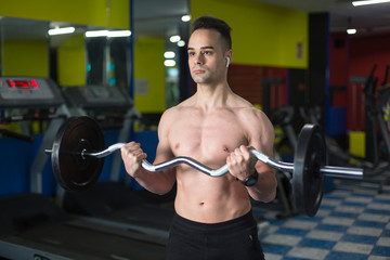 Muscular young man performing exercise with weights for biceps.