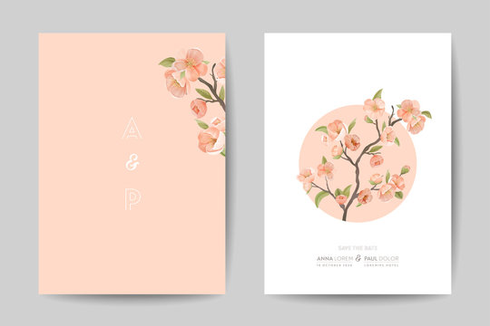 Romantic Trendy Wedding Invitation Cards Set. Cherry Sakura Flowers with Leaves on Pink and White Background with Nature Art Poster Banner Flyer Brochure Templates Cartoon Flat Vector Illustration