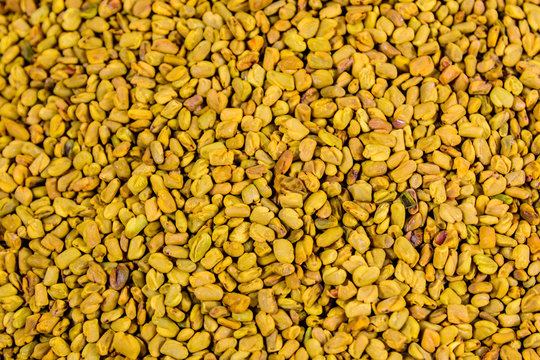 Background of the fenugreek seeds (methi dana, helba or shambala)