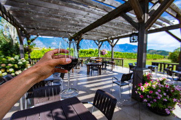 hand holding a glass of red wine selective focus view against outdoor wine tasting patio, winery...