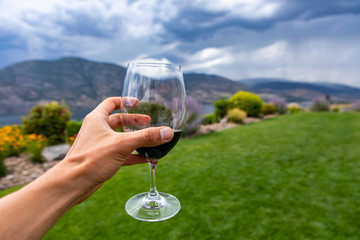 Obraz premium Man hand holding a glass of red wine selective focus close up view against yard grass background copy space, Okanagan Valley, British Columbia, Canada