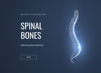 Spinal bones, vertebra low poly wireframe landing page template - obrazy, fototapety, plakaty