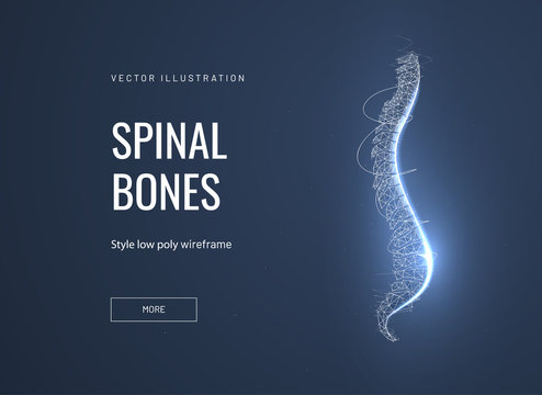 Spinal bones, vertebra low poly wireframe landing page template