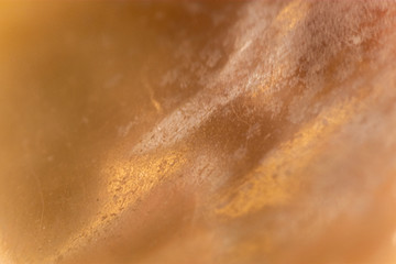Glossy Shell 