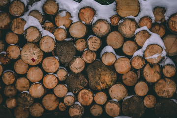 Drewniane pale ułożone do tartaku obsypane śniegiem w lesie, wycinka drzew - obrazy, fototapety, plakaty