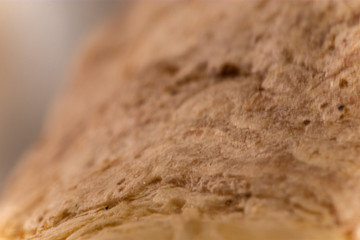 Shell Close up