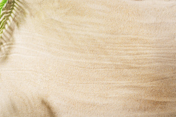 Sandy beach background top view. Sand texture with copy space