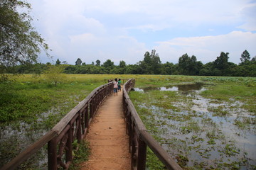 Obraz premium Bridge in Nature