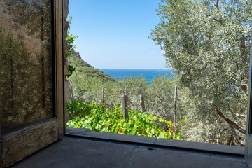 Italy, Campania, Sorrento , Nerano, Jeranto