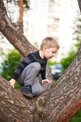 Naklejka na ściany i meble A little boy climbed and sits on a tree.