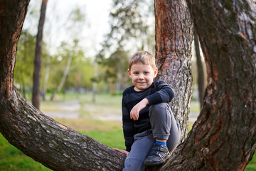 A little boy climbed and sits on a tree.