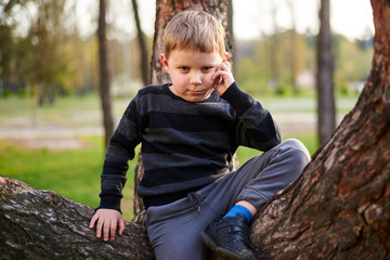 A little boy climbed and sits on a tree.