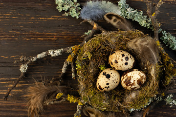 Quail eggs in the nest. Quail. Spring. Easter eggs. Spring Festival. Eggs Nest with eggs. Easter.
