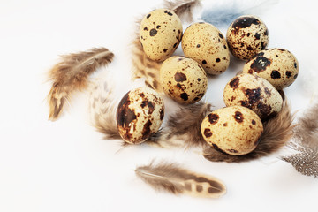 Obraz premium Quail eggs in the nest. Quail. Spring. Easter eggs. Spring Festival. Eggs Nest with eggs. Easter.