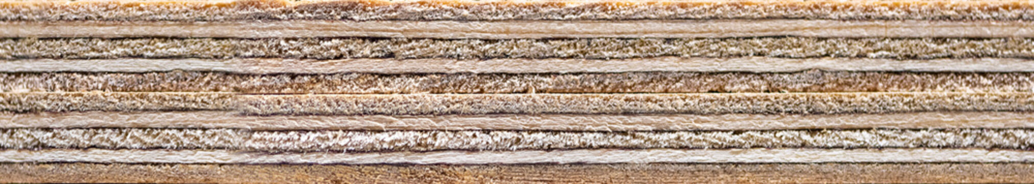 Plywood end side high resolution texture