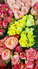 Different Colors Roses in a Flower Shop.Flowers Background 