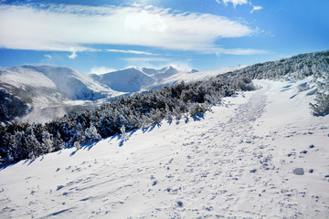 Fototapeta na wymiar Beautiful Winter Mountain Landscape in a Sunny Day