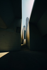 light in the darkness