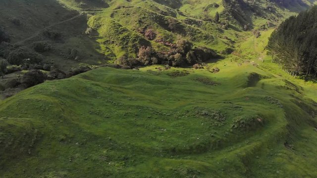 Aerial view of green hills and valleys of the Waikato, New Zealand