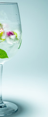 Frozen flowers in ice cubes in wine glass on white background