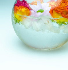 Roses in vase with ice on white background