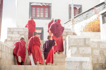 Buddhist monks in Tikshey monastery, Ladakh, India - obrazy, fototapety, plakaty