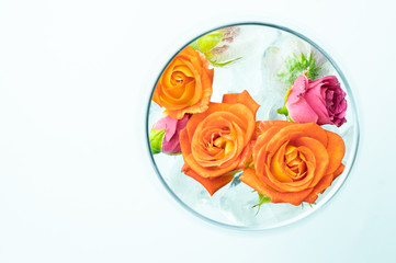 Top view of colorful spray roses and ice in wine glass isolated on white