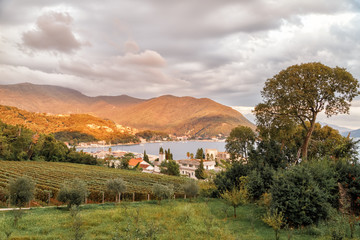 Montenegro landscape near Herceg Novi at golden hour: vineyards, sea and mountains.