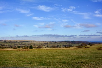 Obraz premium Landscape with meadow, trees and blue sky in the Rhön, Germany